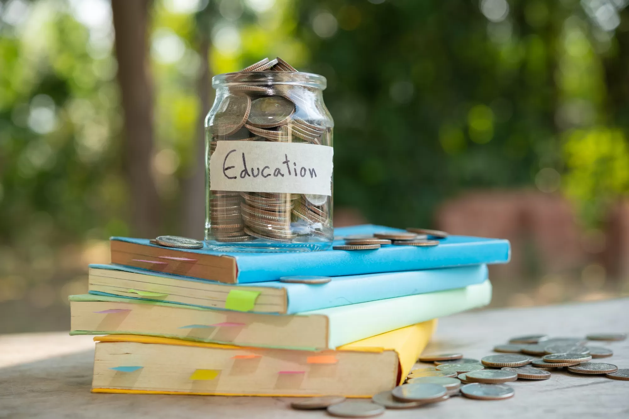 ca course fees planning